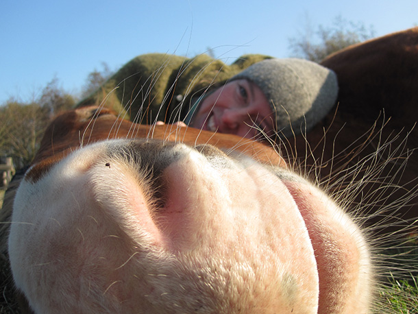 pädagogisches Reiten