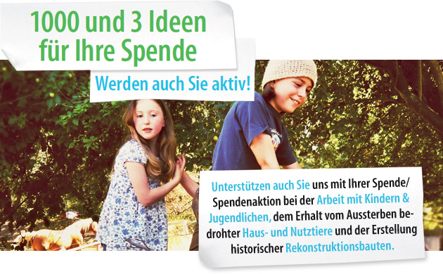 Spendenteaser